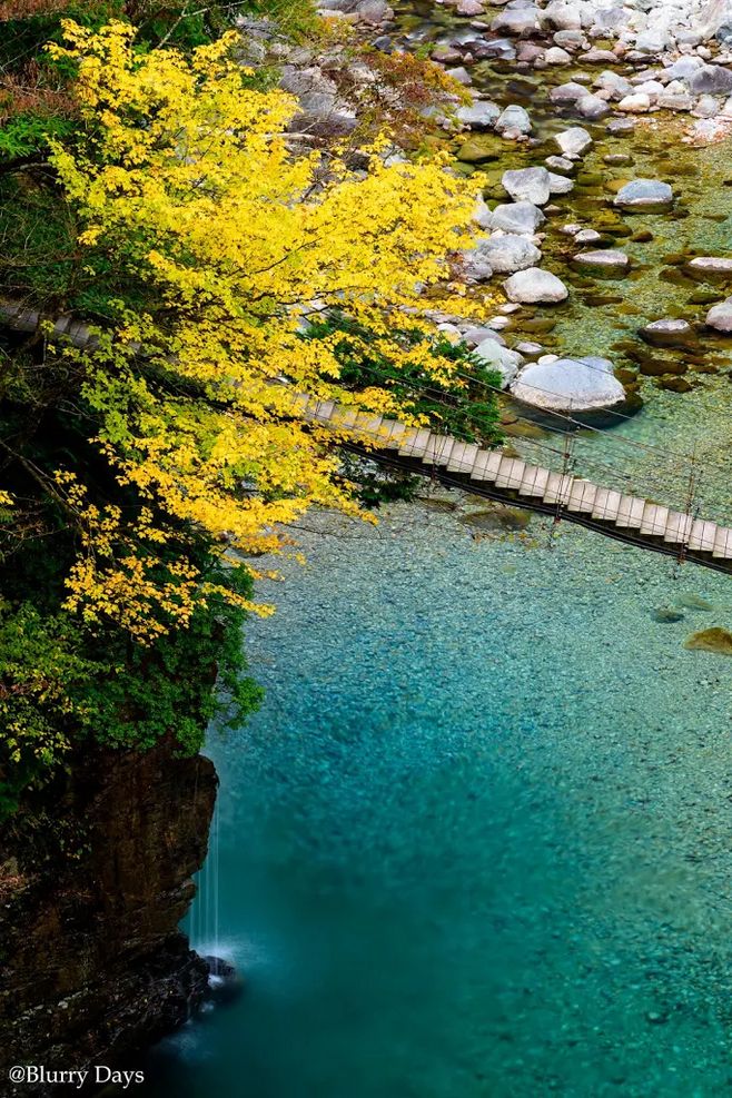 milan米兰app官网