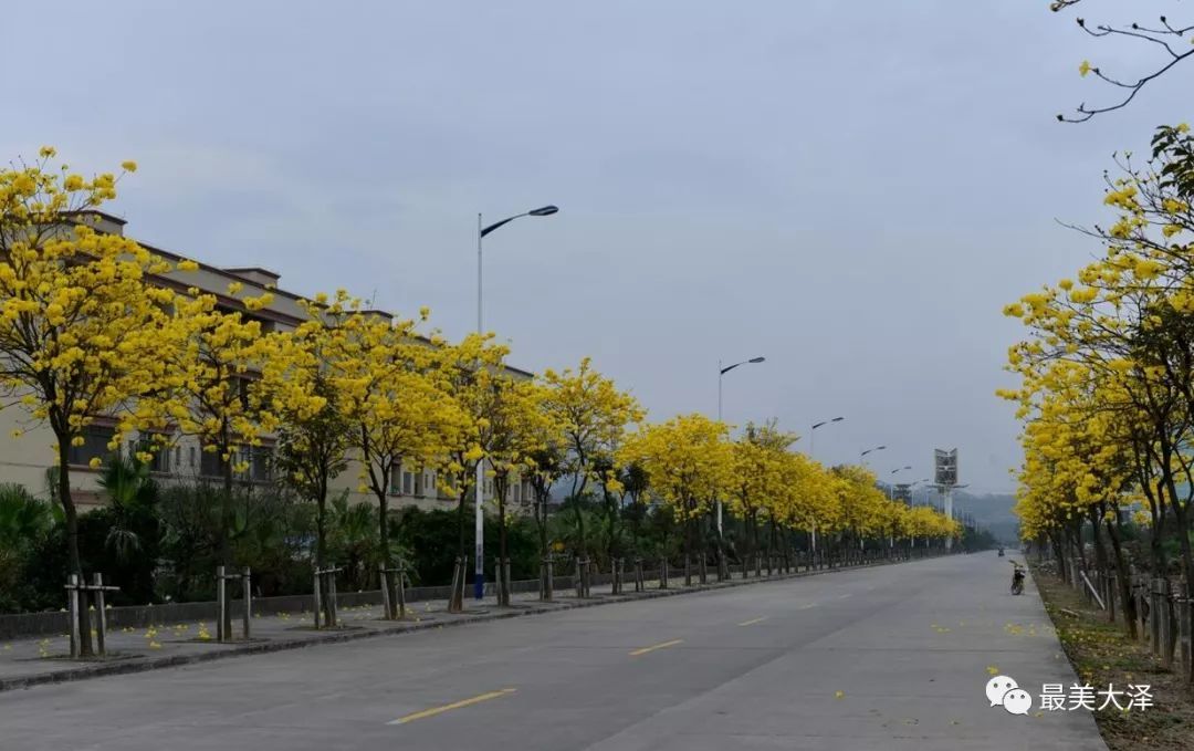 milan米兰app官网