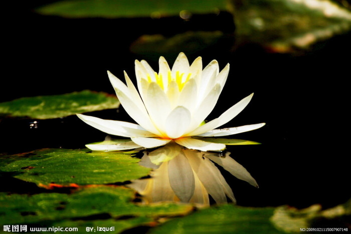 milan米兰app官网