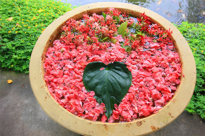 milan米兰app官网