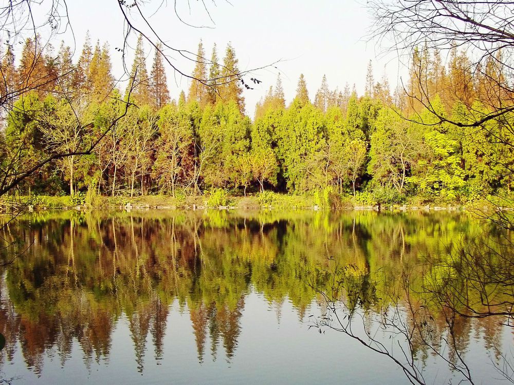 milan米兰app官网