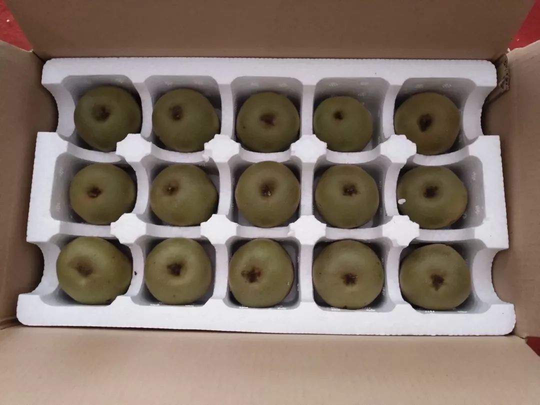 milan米兰app官网