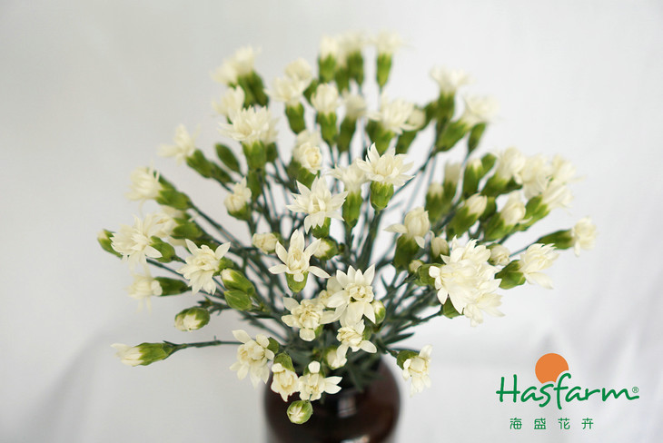 milan米兰app官网