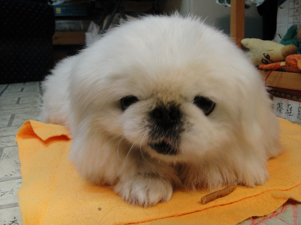 什么是FQDN?它和主机名有区别吗?“milan米兰”(图1) milan米兰app官网