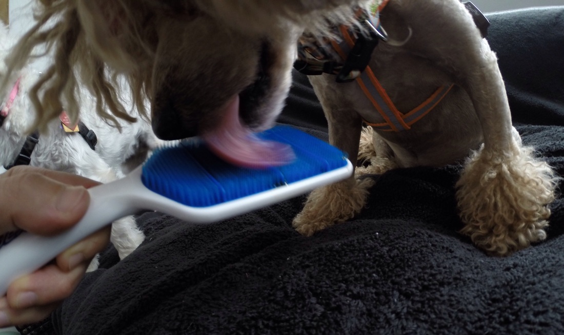 milan米兰app官网