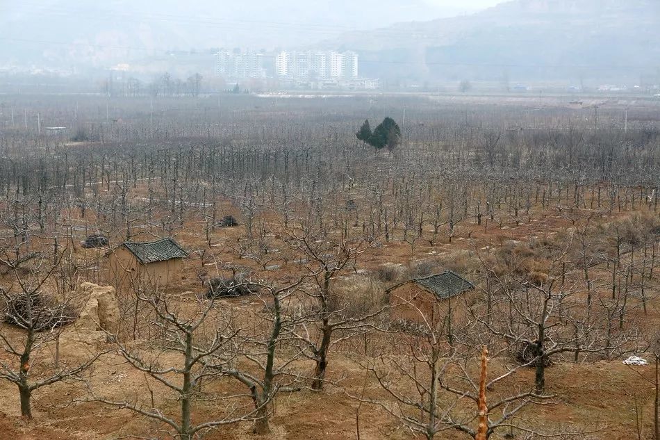 milan米兰app官网