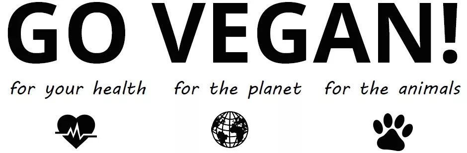 李鹤年|他的书法用笔灵活书卷气盎然_米兰官方网站(图6) milan米兰