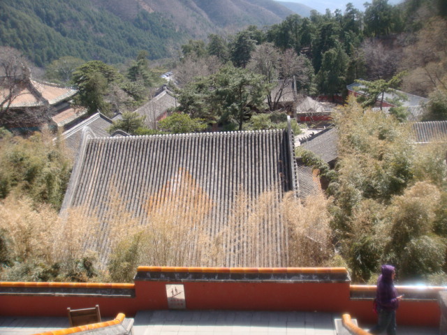 ‘milan米兰’观楚国寺璋上人写一切经院,南有曲池深竹(图1) milan米兰app官网