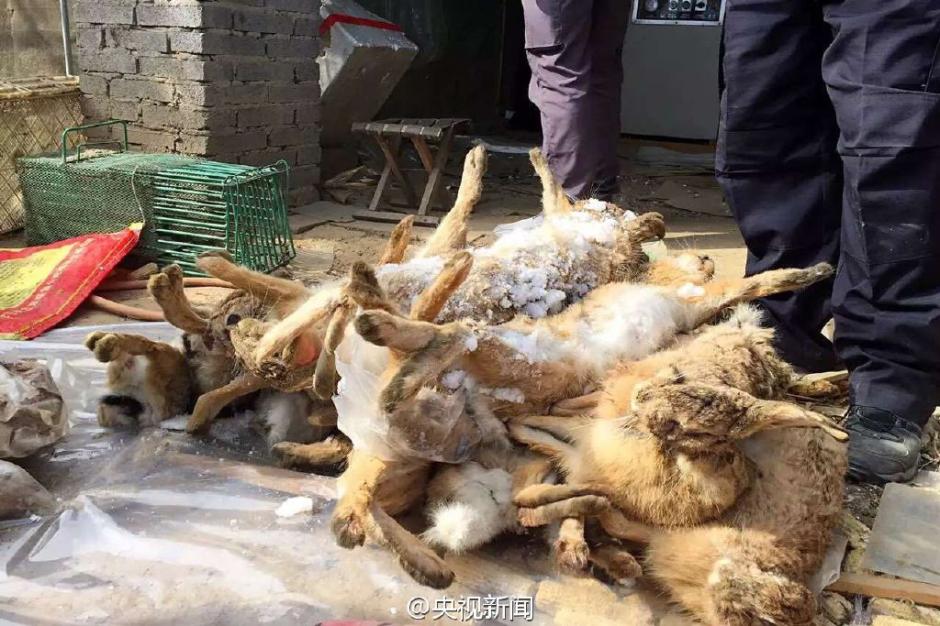 郑州、洛阳、南阳等十五地市寒假放假时间宣布“米兰官方网站”(图1) 米兰官方网站