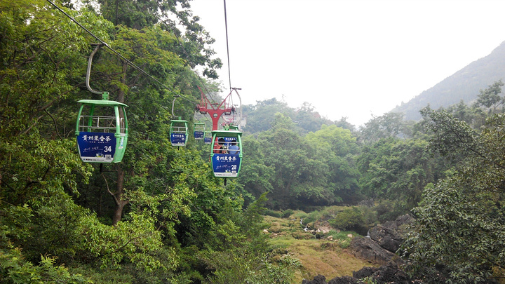 milan米兰_WHO发布“吃肉致癌”报告后全球养猪各界如何反应(图1) 米兰官方网站