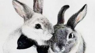 milan米兰|棫朴(图2) milan米兰app官网