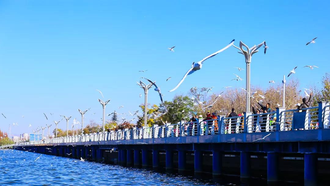 【米兰官方网站】倬彼我系(图2) milan米兰app官网