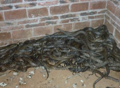 ‘milan米兰’汽车产业网络组织结构的演化机理研究(图1) 米兰官方网站