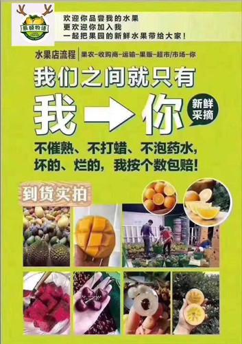 米兰官方网站
