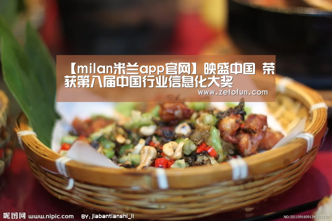 【milan米兰app官网】映盛中国 荣获第八届中国行业信息化大奖(图3) milan米兰app官网