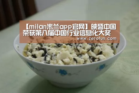 【milan米兰app官网】映盛中国 荣获第八届中国行业信息化大奖(图4) 米兰官方网站