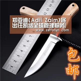 郑亚迪(Adil Zaim)将出任凯络全球管理职务|米兰官方网站(图2) 米兰官方网站