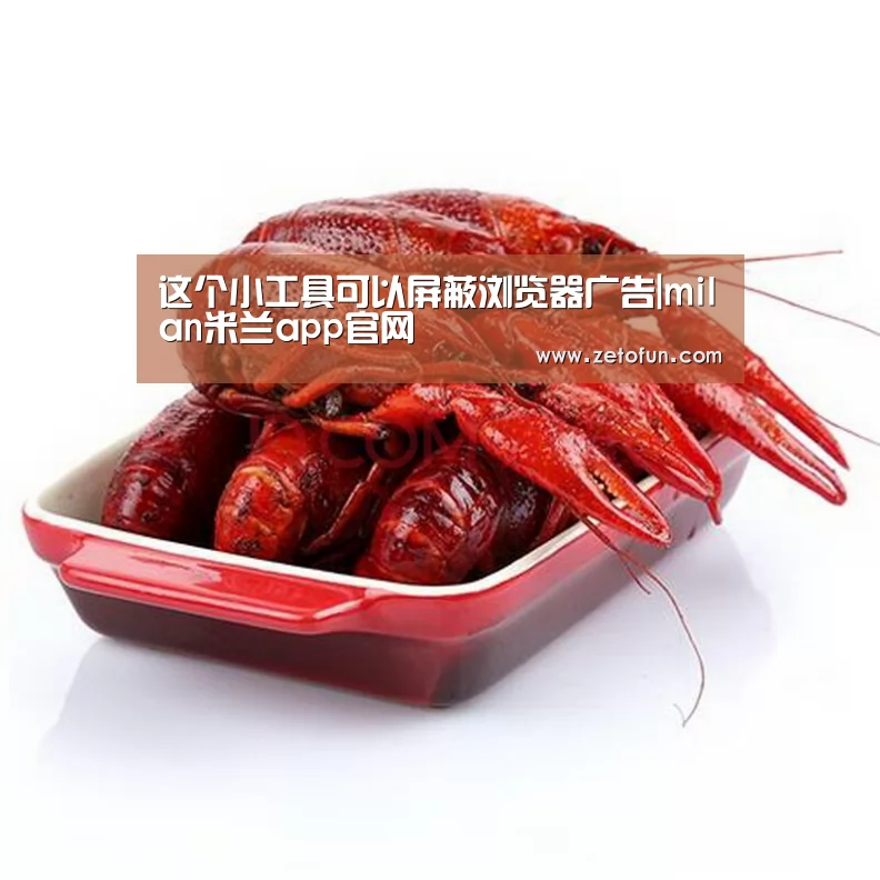 这个小工具可以屏蔽浏览器广告|milan米兰app官网(图2) milan米兰app官网